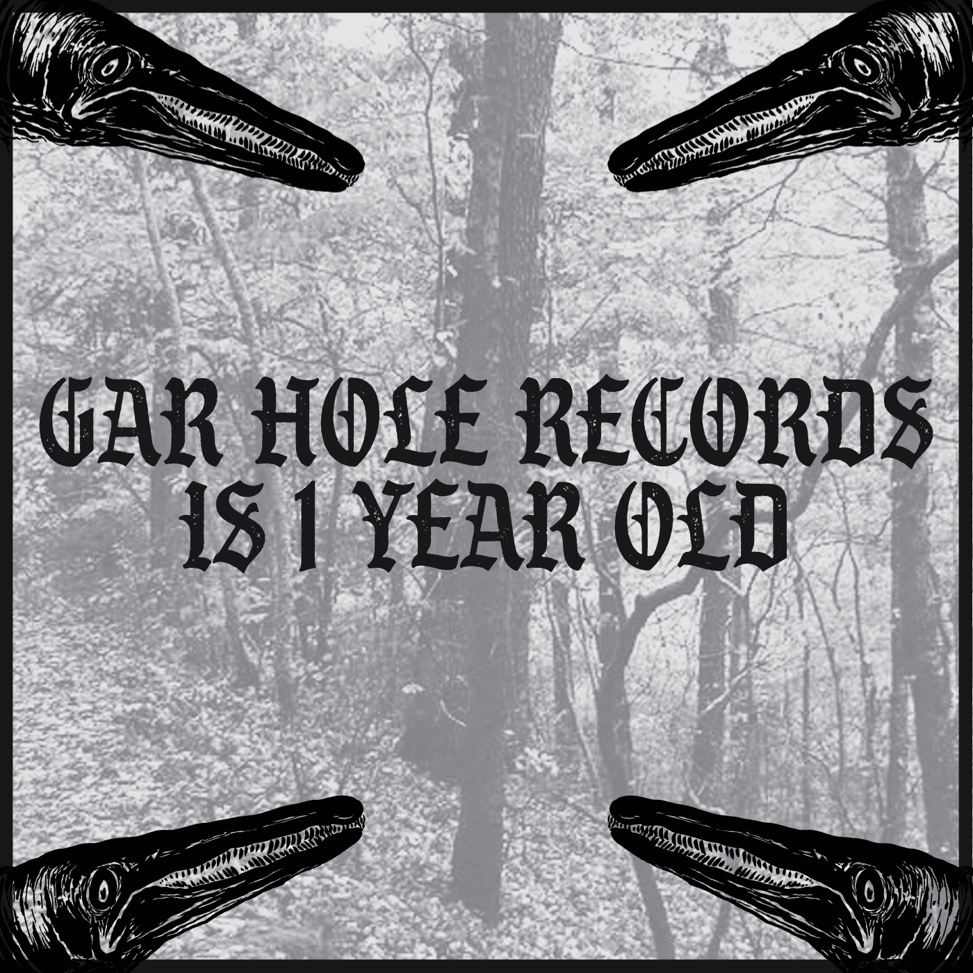 Gar Hole Records turns 1 Year Old